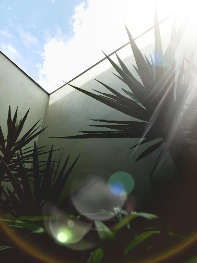 Luv Motel Joinville Exterior foto